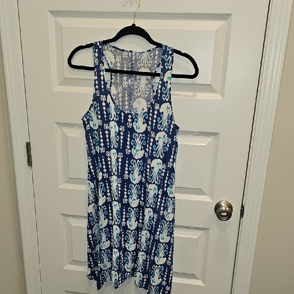 Lilly Pulitzer Blue and White Dress